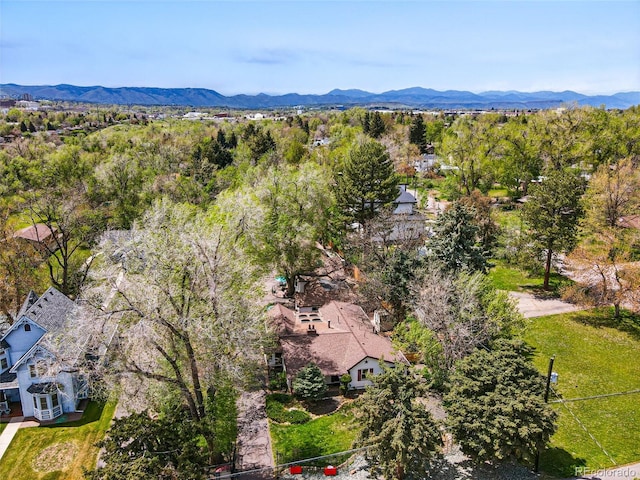 1051 Independence St, Lakewood, CO 80215 - photo 11