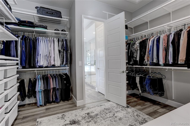 walk in closet with hardwood / wood-style flooring