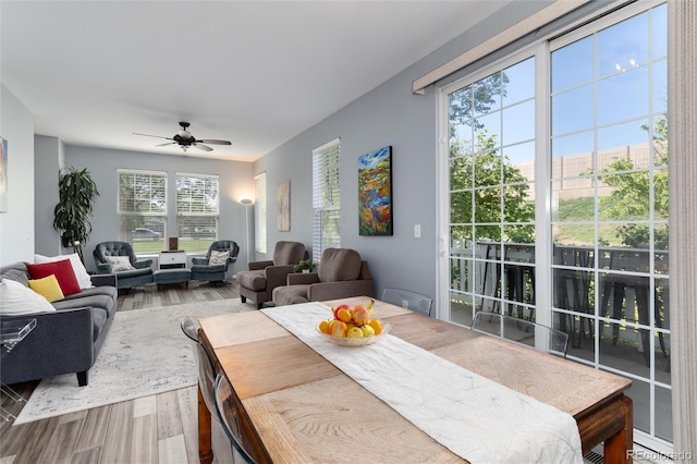 4797 Flower St, Wheat Ridge, CO 80033 - dining space with wood finished floors and a ceiling fan