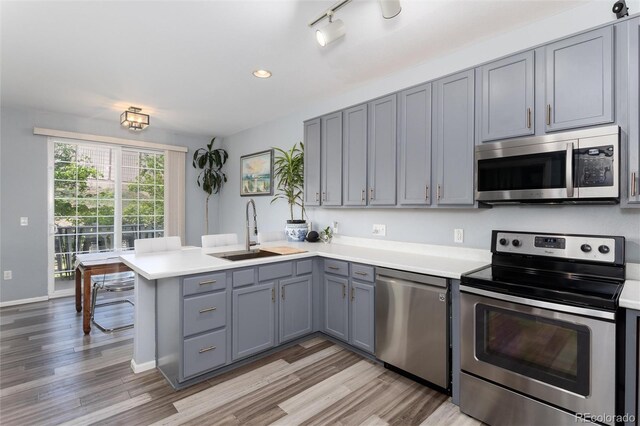 4797 Flower St, Wheat Ridge, CO 80033 - kitchen with stainless steel appliances, a sink, gray cabinetry, a peninsula, and light countertops