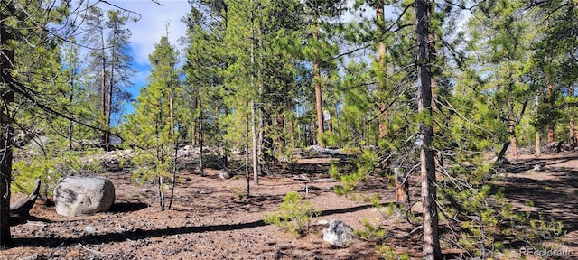 475 Birch Dr, Twin Lakes, CO 81251 - photo 4