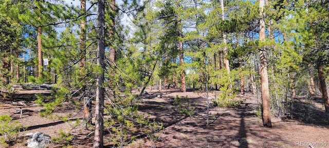 475 Birch Dr, Twin Lakes, CO 81251 - photo 5