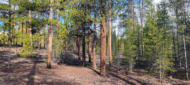 475 Birch Dr, Twin Lakes, CO 81251 - photo 6