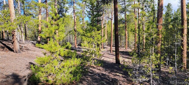 475 Birch Dr, Twin Lakes, CO 81251 - photo 7