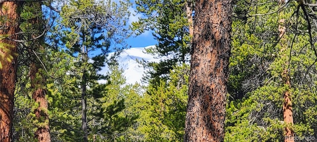 475 Birch Dr, Twin Lakes, CO 81251 - photo 9