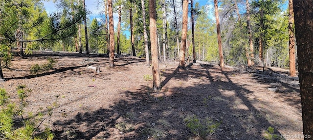 475 Birch Dr, Twin Lakes, CO 81251 - photo 12