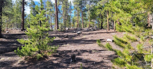 475 Birch Dr, Twin Lakes, CO 81251 - photo 13
