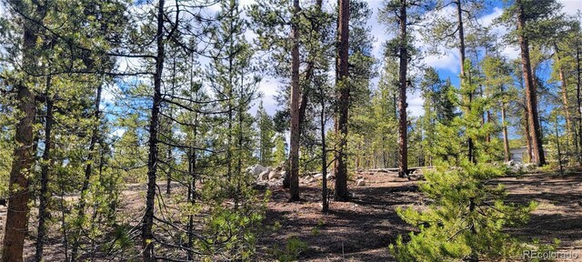 475 Birch Dr, Twin Lakes, CO 81251 - photo 14