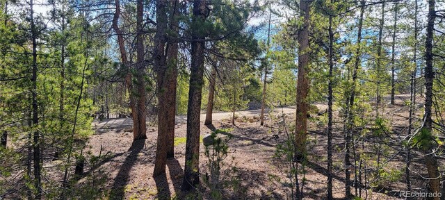475 Birch Dr, Twin Lakes, CO 81251 - photo 15