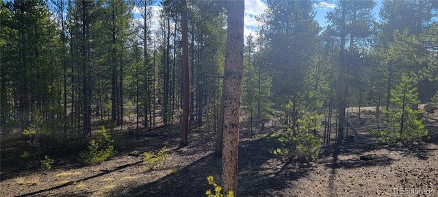 475 Birch Dr, Twin Lakes, CO 81251 - photo 16