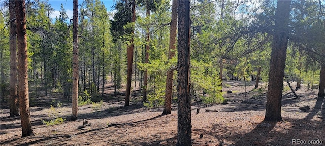 475 Birch Dr, Twin Lakes, CO 81251 - photo 20