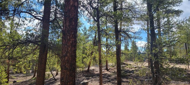 475 Birch Dr, Twin Lakes, CO 81251 - photo 21