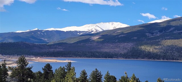 475 Birch Dr, Twin Lakes, CO 81251 - photo 28