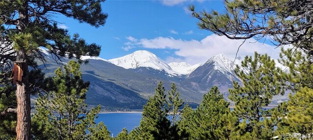 475 Birch Dr, Twin Lakes, CO 81251 - photo 34