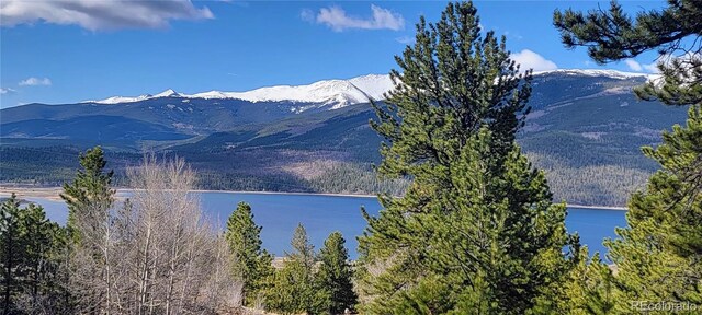 475 Birch Dr, Twin Lakes, CO 81251 - photo 35