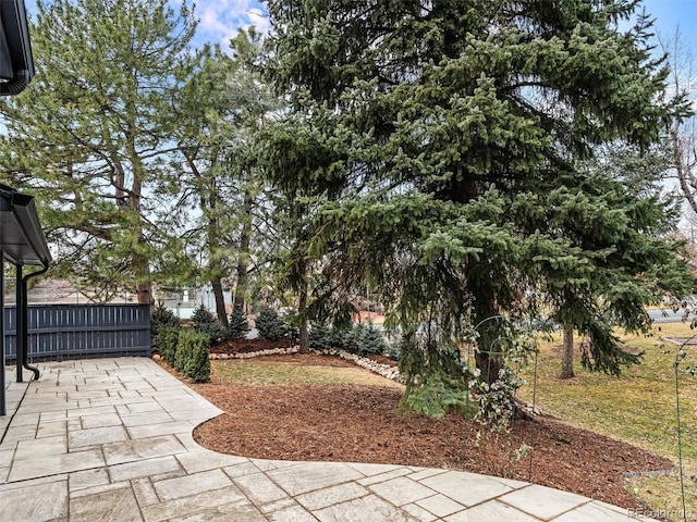 view of yard with a patio area and fence