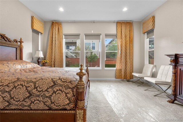 11193 Mission Walk St, Parker, CO 80134 - bedroom with recessed lighting and carpet