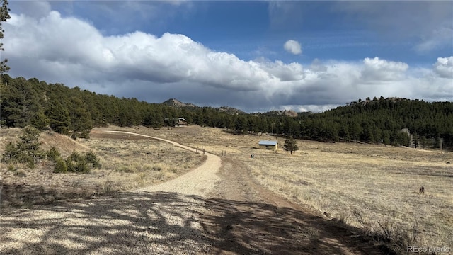 266 Good Hope Dr, Westcliffe, CO 81252 - photo 2