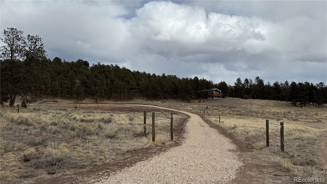 266 Good Hope Dr, Westcliffe, CO 81252 - photo 5