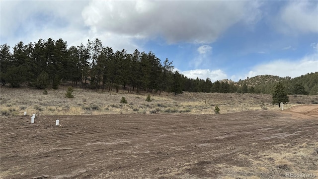 266 Good Hope Dr, Westcliffe, CO 81252 - photo 6