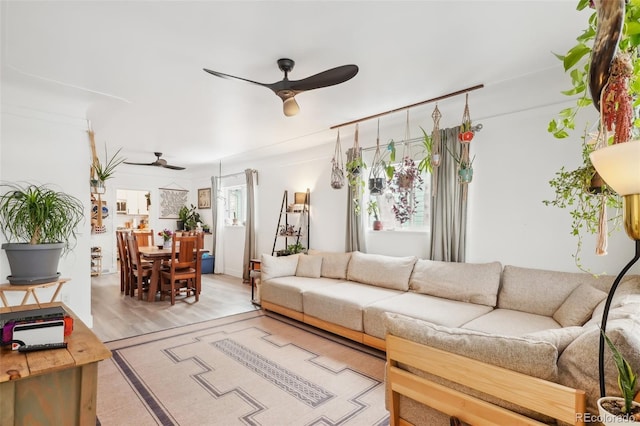 living room with ceiling fan and light wood-type flooring