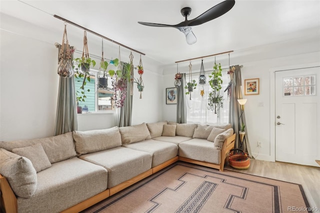 living room with ceiling fan and hardwood / wood-style floors