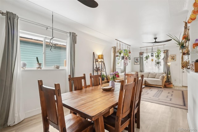 dining space featuring ceiling fan and light wood-type flooring