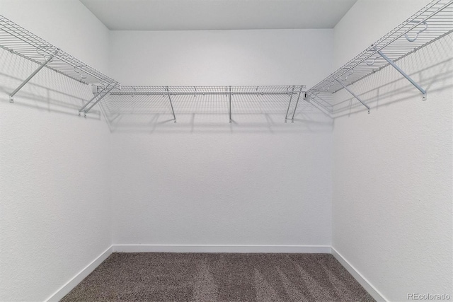 25244 E Warren Pl, Aurora, CO 80018 - photo 16