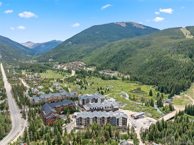 53 Hunki Dori Ct Unit 8886, Keystone, CO 80435 - photo 40
