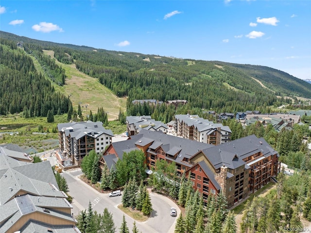 53 Hunki Dori Ct Unit 8886, Keystone, CO 80435 - photo 1