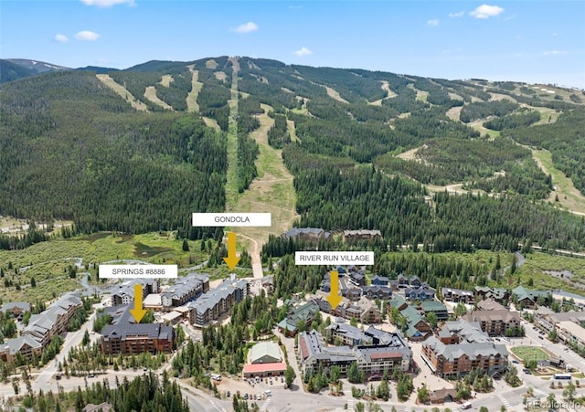 53 Hunki Dori Ct Unit 8886, Keystone, CO 80435 - photo 2
