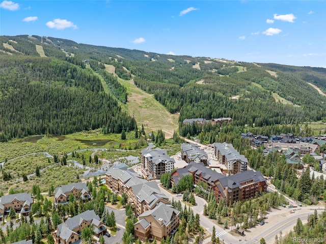 53 Hunki Dori Ct Unit 8886, Keystone, CO 80435 - photo 38