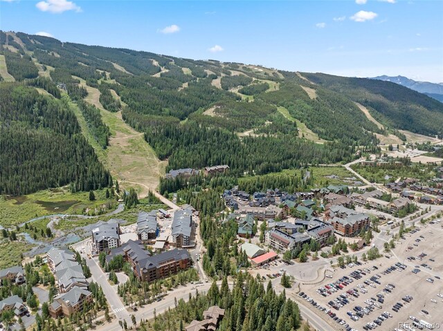 53 Hunki Dori Ct Unit 8886, Keystone, CO 80435 - photo 39