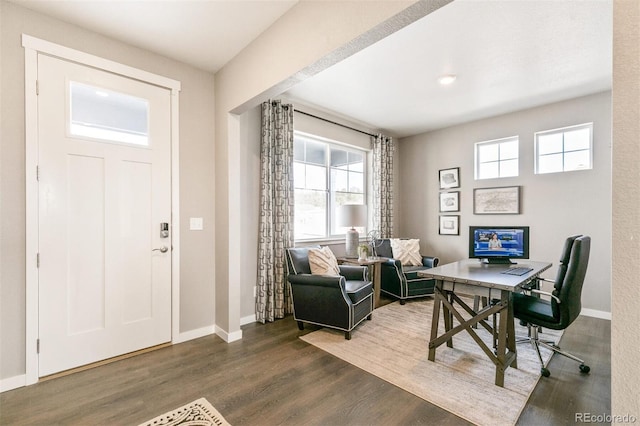 foyer entrance featuring dark wood-type flooring