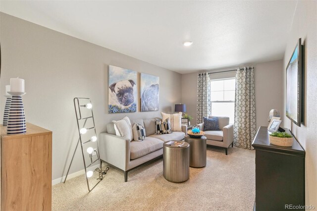 living room featuring carpet flooring