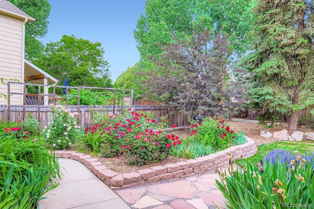 1616 Cedarwood Dr, Longmont, CO 80504 - view of fenced backyard