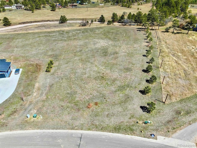2568 Fox View Trl, Franktown, CO 80116 - photo 4