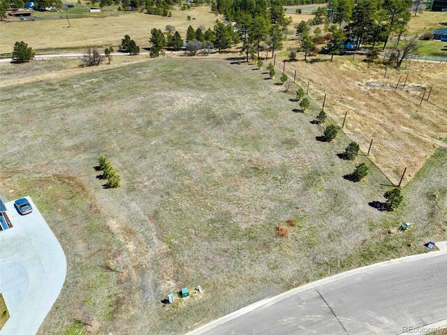 2568 Fox View Trl, Franktown, CO 80116 - photo 5