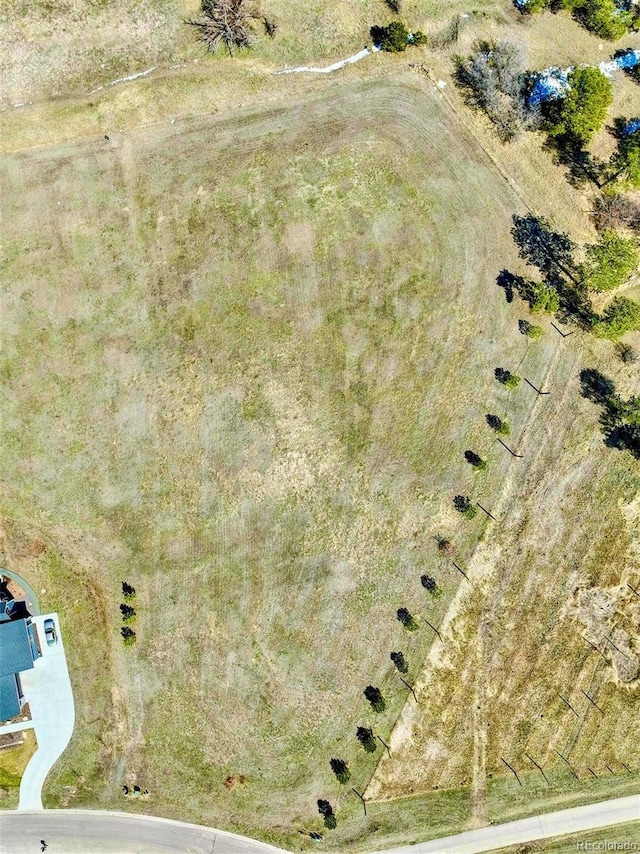 2568 Fox View Trl, Franktown, CO 80116 - photo 6