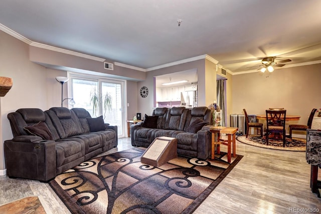 living area with ceiling fan, ornamental molding, light wood-style flooring, and visible vents
