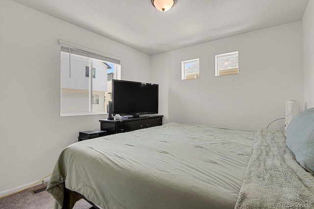 18233 E 51st Ave, Denver, CO 80249 - photo 14