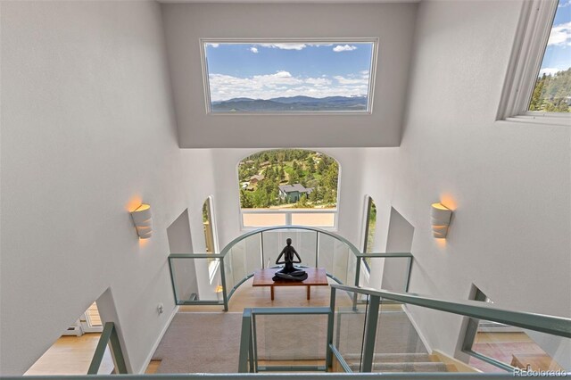 606 Sugarloaf Mountain Rd, Boulder, CO 80302 - photo 5