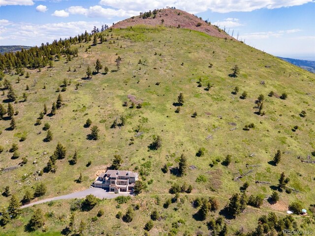 606 Sugarloaf Mountain Rd, Boulder, CO 80302 - photo 40
