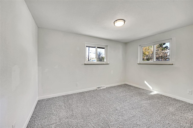 empty room with a textured ceiling, carpet flooring, and a healthy amount of sunlight