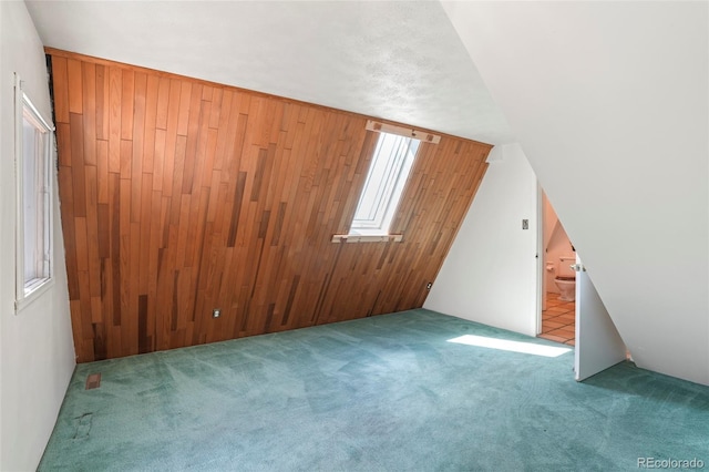 779 High Point Cir, Black Hawk, CO 80422 - bonus room featuring carpet flooring and wood walls
