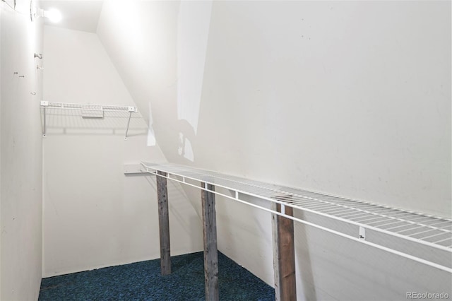 779 High Point Cir, Black Hawk, CO 80422 - view of walk in closet