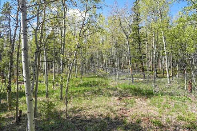 779 High Point Cir, Black Hawk, CO 80422 - view of wooded area