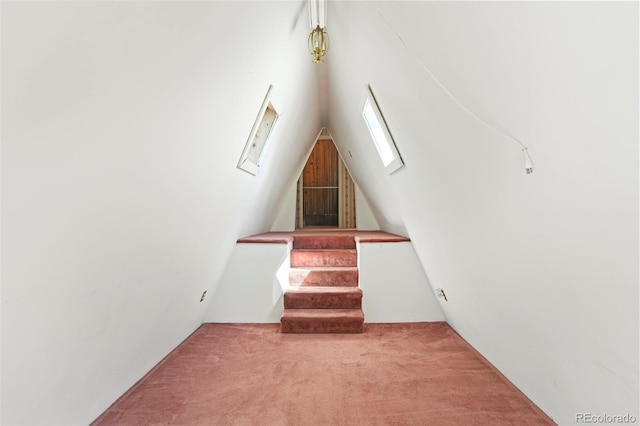 779 High Point Cir, Black Hawk, CO 80422 - stairs with carpet flooring