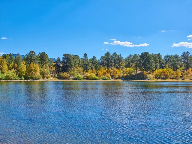 779 High Point Cir, Black Hawk, CO 80422 - water view with a forest