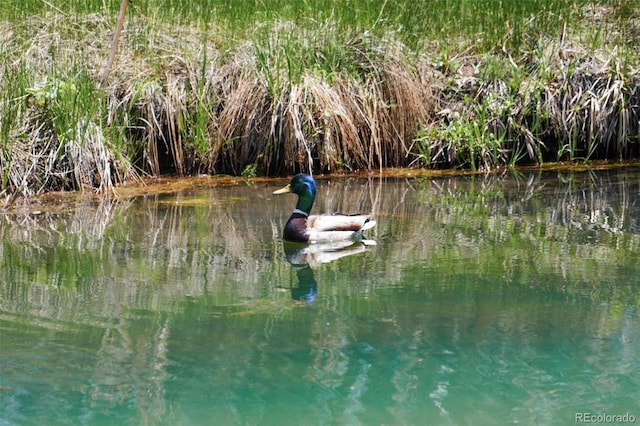 779 High Point Cir, Black Hawk, CO 80422 - water view